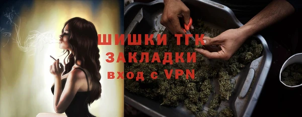 соль ск Алзамай
