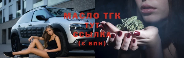 твердый Гатчина