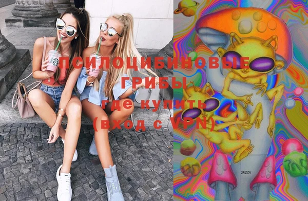 шишки Галич