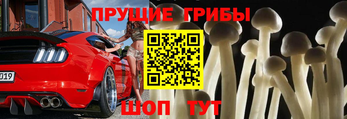 Галлюциногенные грибы прущие грибы Скопин