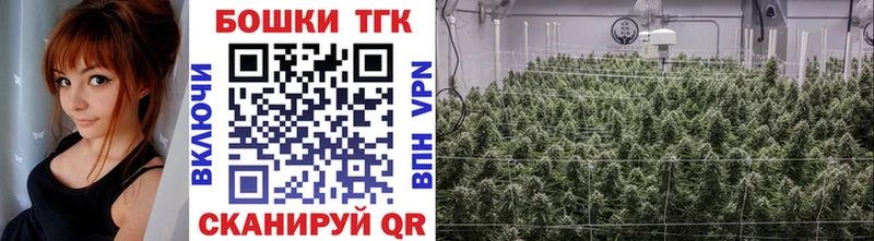 как найти наркотики  Скопин  Конопля White Widow 